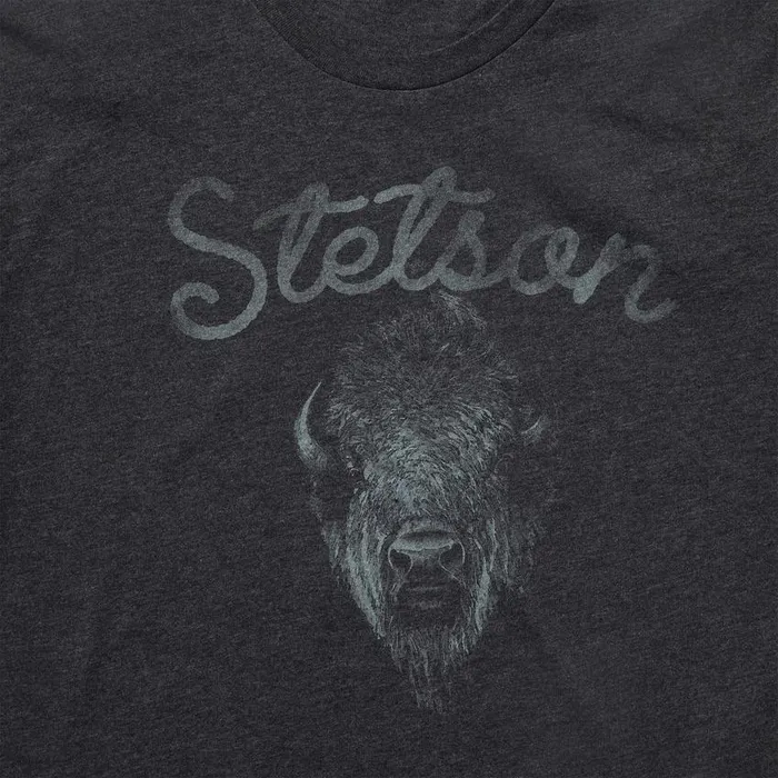 Bison Spirit Graphic Tee Black Men Stetson Tees