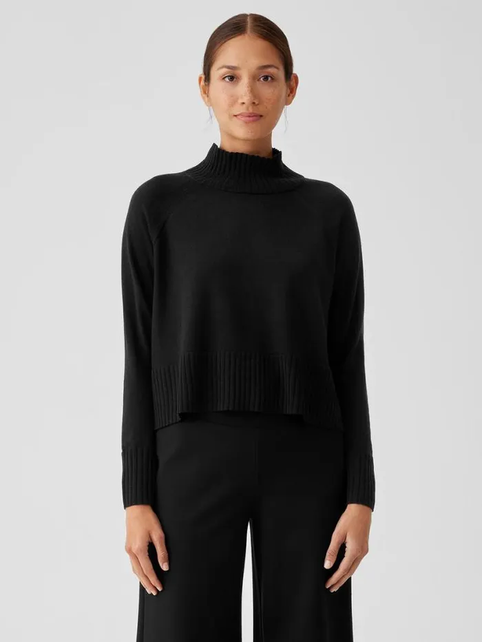 Eileen Fisher Extended Sizing 1X3X Merino Jersey Turtleneck Top In Regenerative Wool Black 8211 Shop