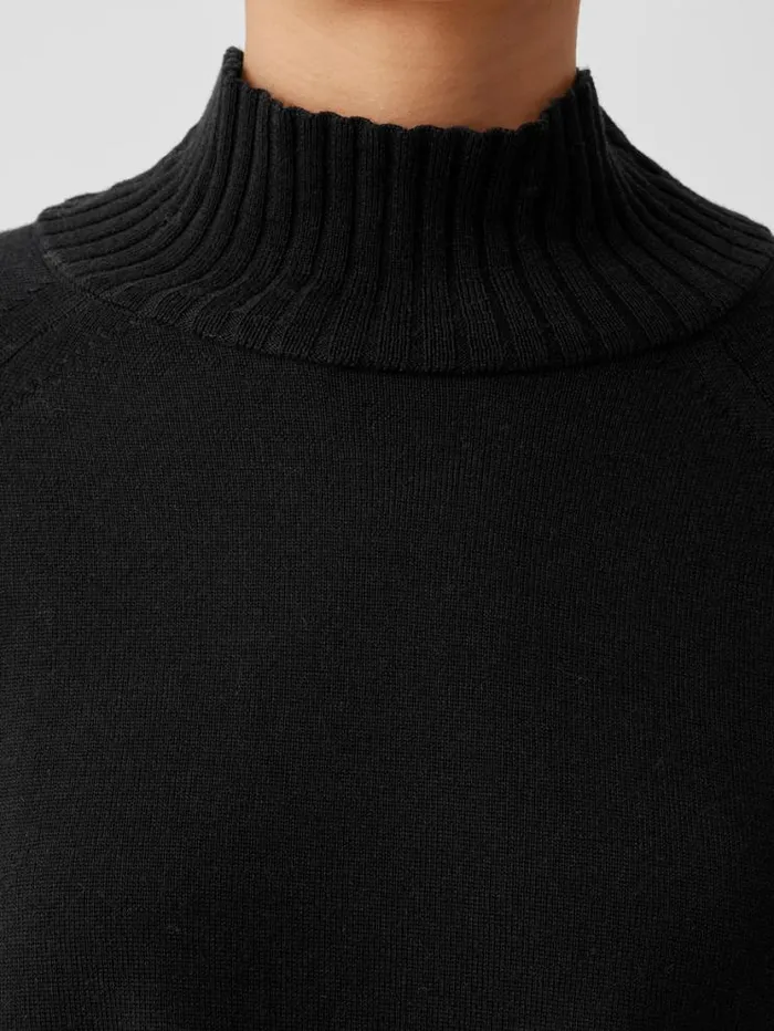Eileen Fisher Extended Sizing 1X3X Merino Jersey Turtleneck Top In Regenerative Wool Black 8211 Shop
