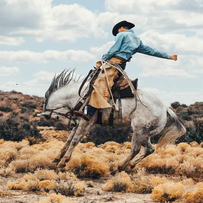LongSleeved Denim Shirt Blue Men Stetson Denim Shirts
