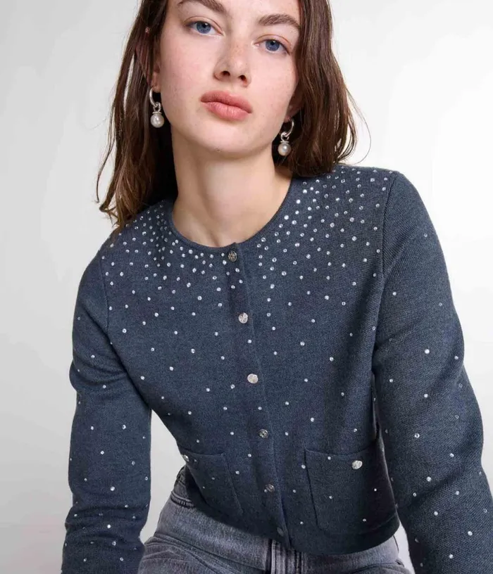 Maje Knitted Jumper With Rhinestones Women Sweaters and Cardigans