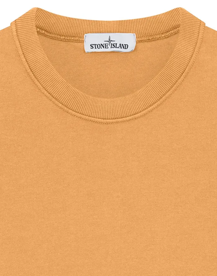 Mens 63020 Sweatshirt In Orange Stone Island Sweatshirts