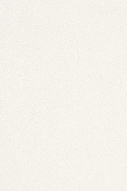 Natalie Martin TOLAN SHIRT White Flat Cotton Shop Tops