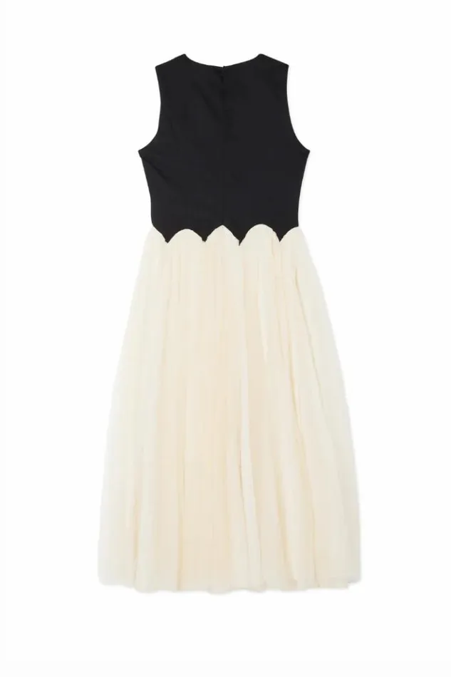 Never Fully Dressed Black And Cream Monika Dress Petite Women Petite