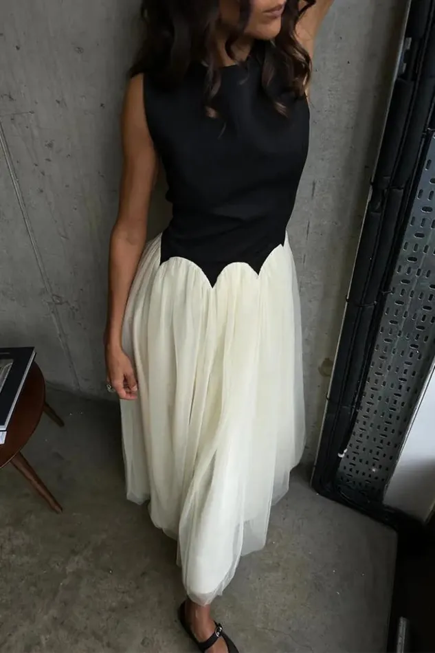 Never Fully Dressed Black And Cream Monika Dress Petite Women Petite