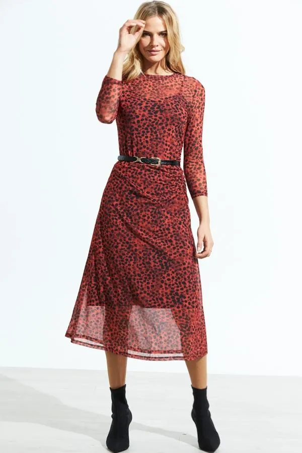 Sosandar Dresses Women Red Leopard Print Mesh Dress Red