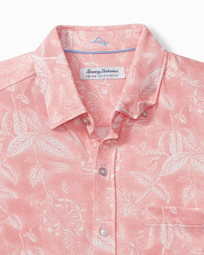 Tommy Bahama San Lucio Coastal Glow Knit Stretch Shirt Pure Coral Men Shirts Tommy Bahama San Lucio Coastal Glow Knit Stretch Shirt Pure Coral Men Shirts