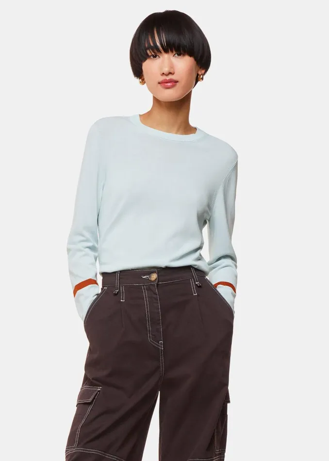 Women Knitwear and Cashmere Whistles Pale Blue Stripe Sleeve Detail Crew