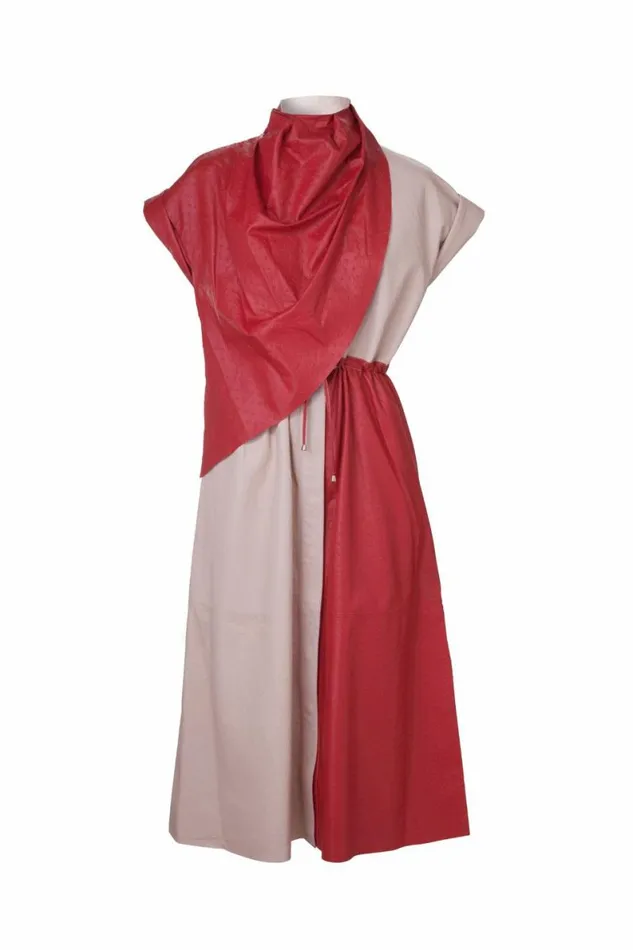 Women Leather DODO BAR OR Paula Dress Red And Pink Combo