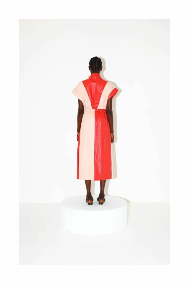 Women Leather DODO BAR OR Paula Dress Red And Pink Combo